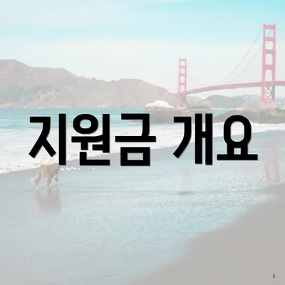 지원금 개요