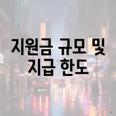 지원금 규모 및 지급 한도