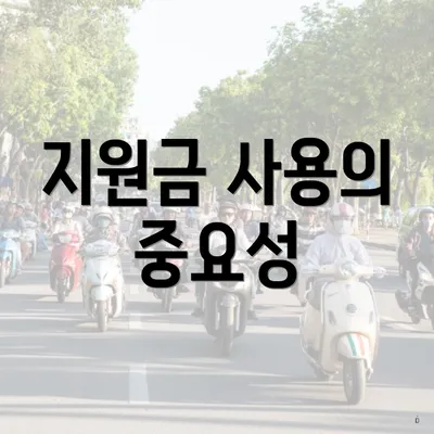 지원금 사용의 중요성