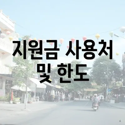 지원금 사용처 및 한도