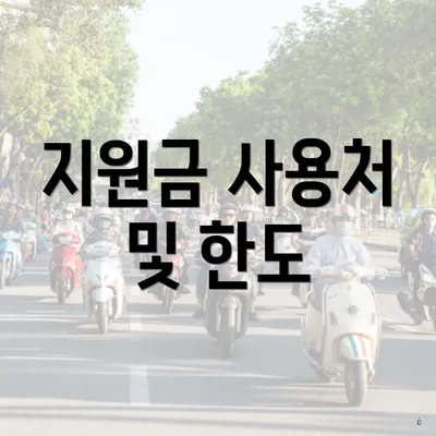 지원금 사용처 및 한도