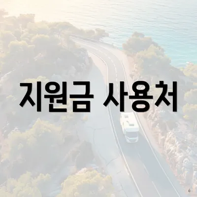 지원금 사용처