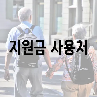 지원금 사용처