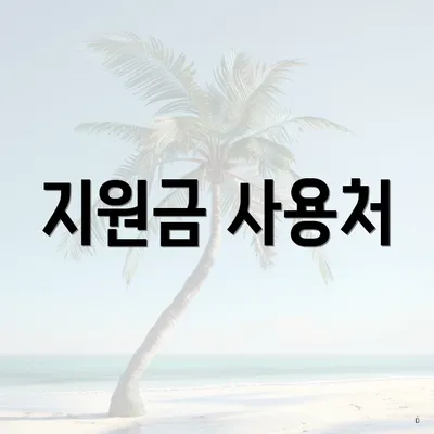 지원금 사용처