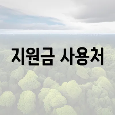 지원금 사용처