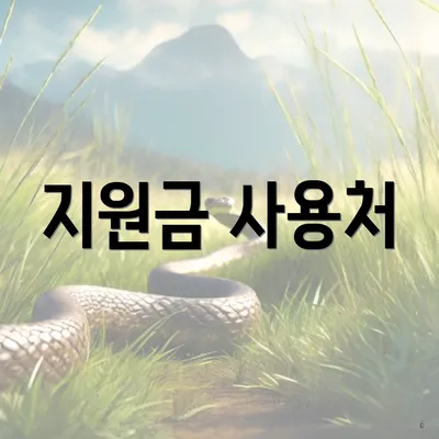 지원금 사용처