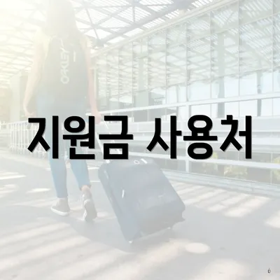 지원금 사용처