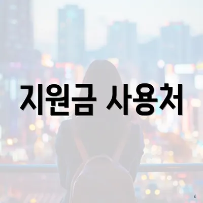지원금 사용처