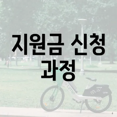 지원금 신청 과정