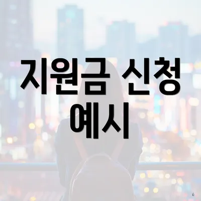 지원금 신청 예시