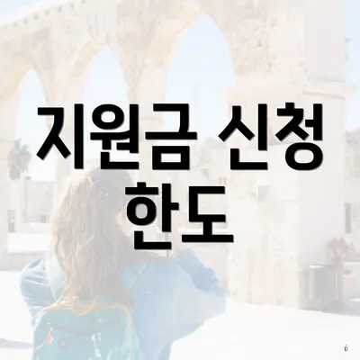 지원금 신청 한도