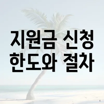 지원금 신청 한도와 절차