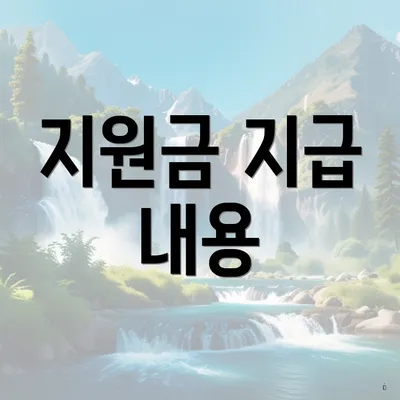 지원금 지급 내용
