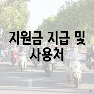 지원금 지급 및 사용처