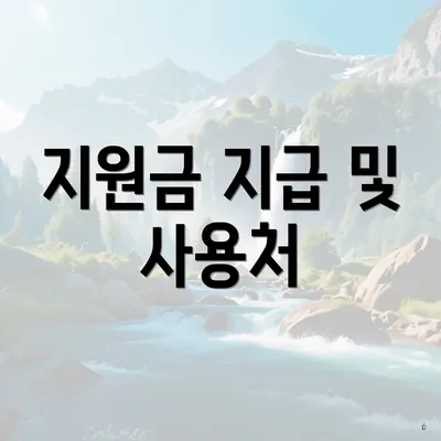 지원금 지급 및 사용처