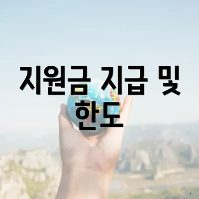 지원금 지급 및 한도