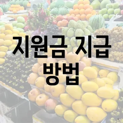 지원금 지급 방법