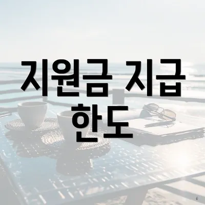지원금 지급 한도