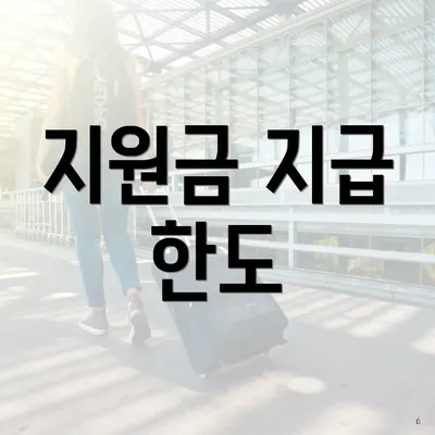 지원금 지급 한도
