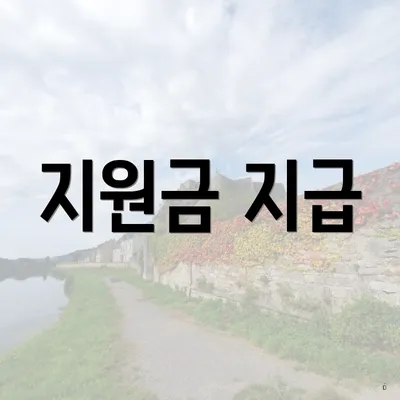 지원금 지급