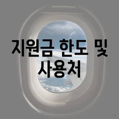 지원금 한도 및 사용처