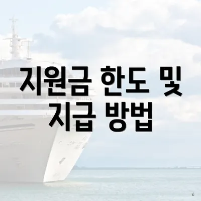 지원금 한도 및 지급 방법