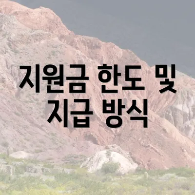 지원금 한도 및 지급 방식
