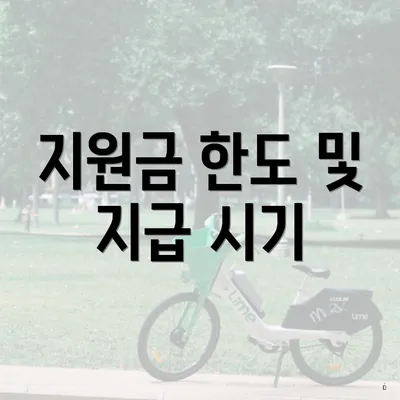 지원금 한도 및 지급 시기