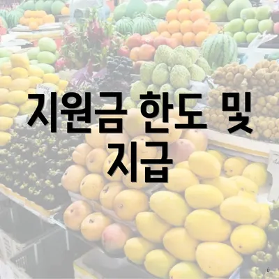 지원금 한도 및 지급