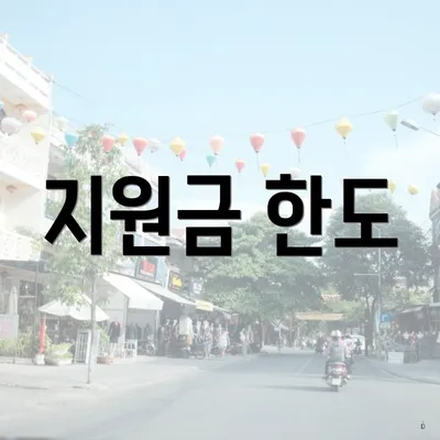 지원금 한도