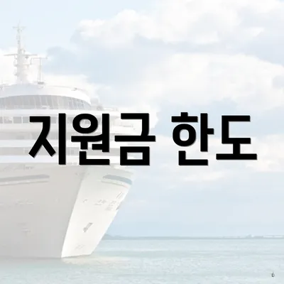 지원금 한도