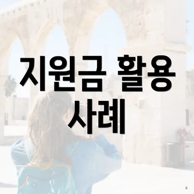 지원금 활용 사례