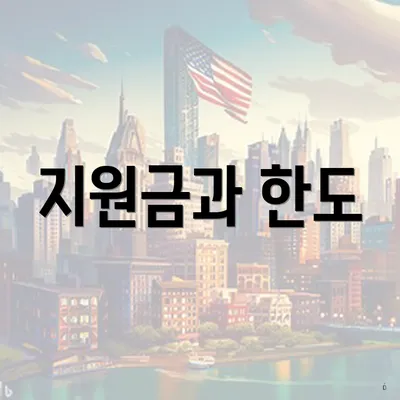 지원금과 한도