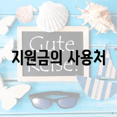 지원금의 사용처