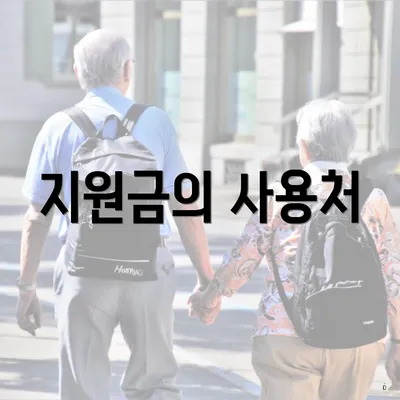 지원금의 사용처