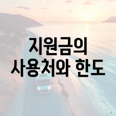 지원금의 사용처와 한도
