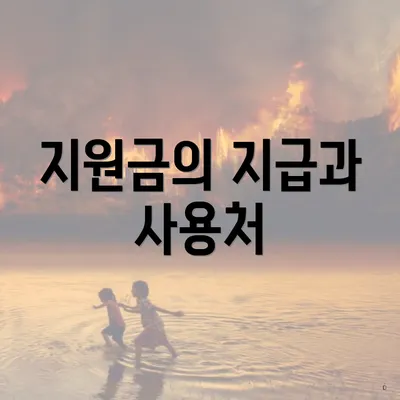 지원금의 지급과 사용처