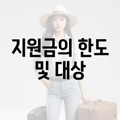 지원금의 한도 및 대상