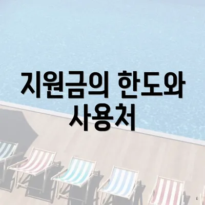 지원금의 한도와 사용처