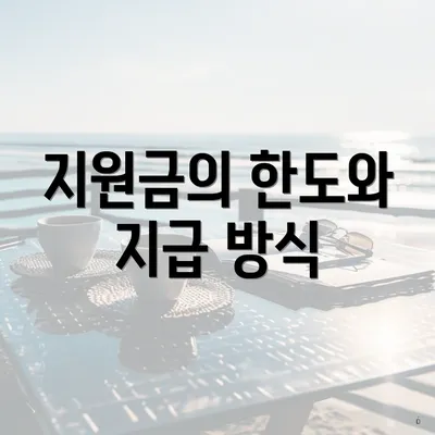 지원금의 한도와 지급 방식