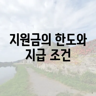지원금의 한도와 지급 조건