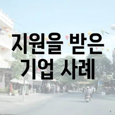 지원을 받은 기업 사례