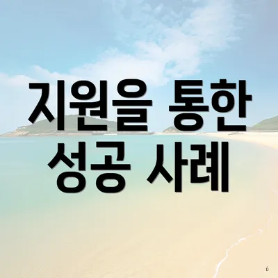 지원을 통한 성공 사례