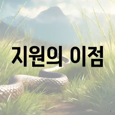 지원의 이점