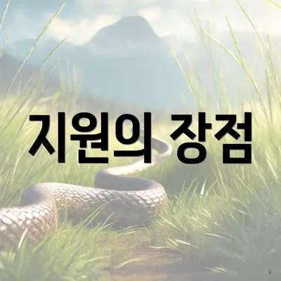 지원의 장점