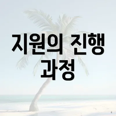 지원의 진행 과정