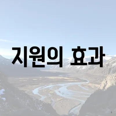 지원의 효과