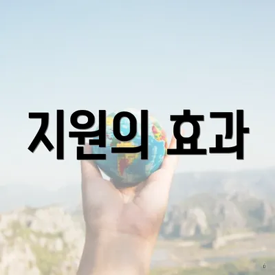 지원의 효과
