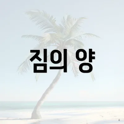 짐의 양
