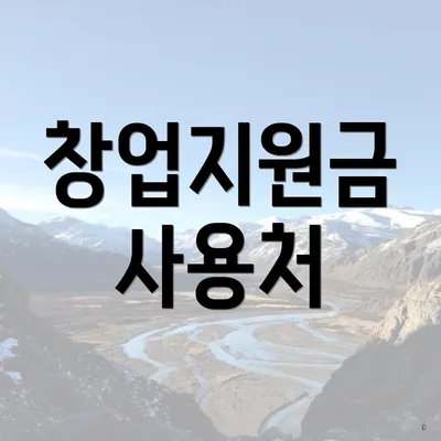 창업지원금 사용처